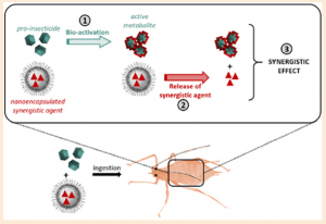 Graphical abstract Galloux et al 2024