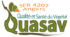 SFR Quasav